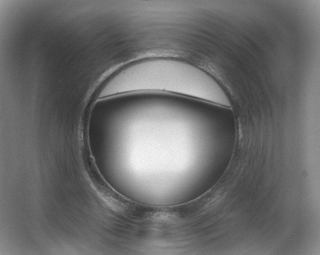 X0000066980348200603241051