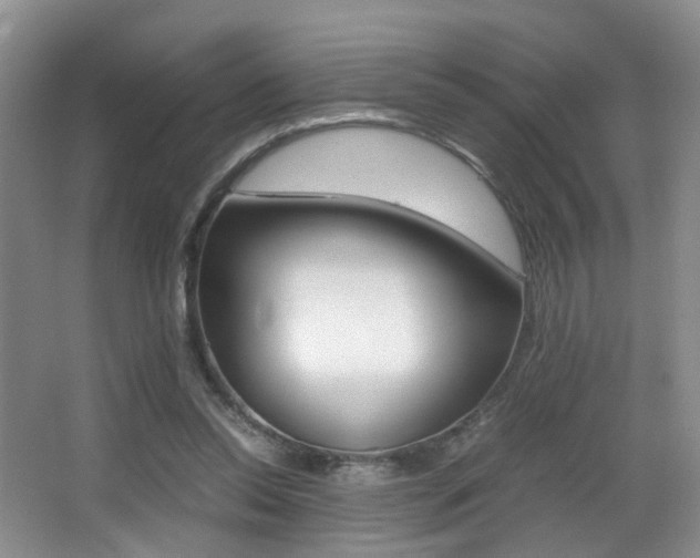 X0000066980350200603241051