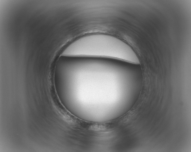 X0000066980354200603241051