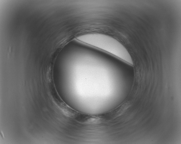 X0000066980364200603241051