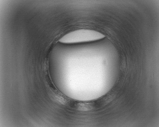 X0000066980367200603241051
