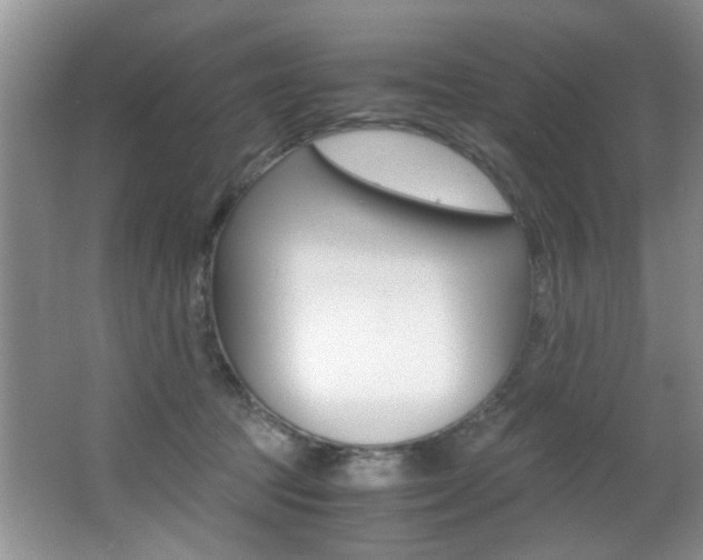 X0000066980369200603241051