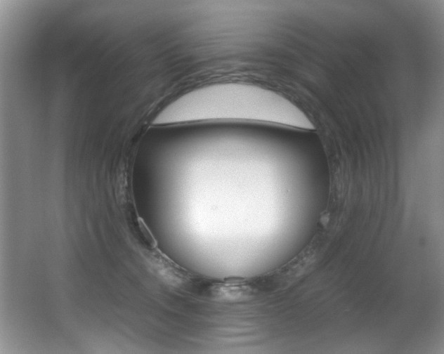 X0000066980372200603241051