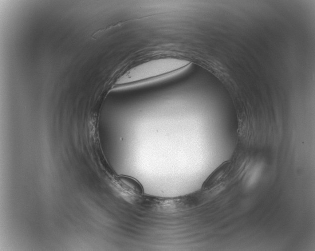 X0000066980382200603241052