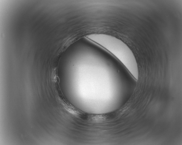 X0000066980383200603241052