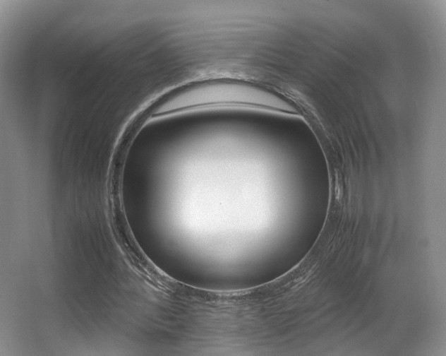 X0000066980388200603241051