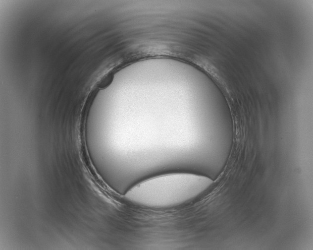X0000066980390200603241051