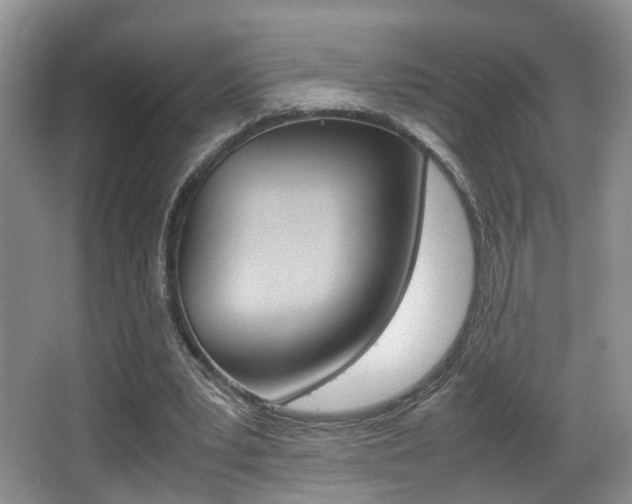 X0000066980391200603241051