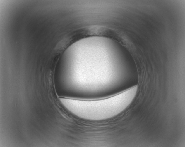 X0000066980413200603241050