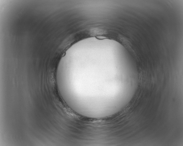 X0000066980426200603241050