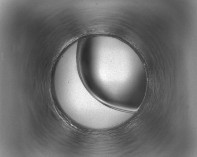 X0000066980434200603241049