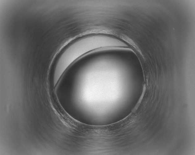 X0000066980436200603241049