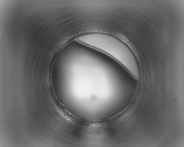 X0000066980441200603241049