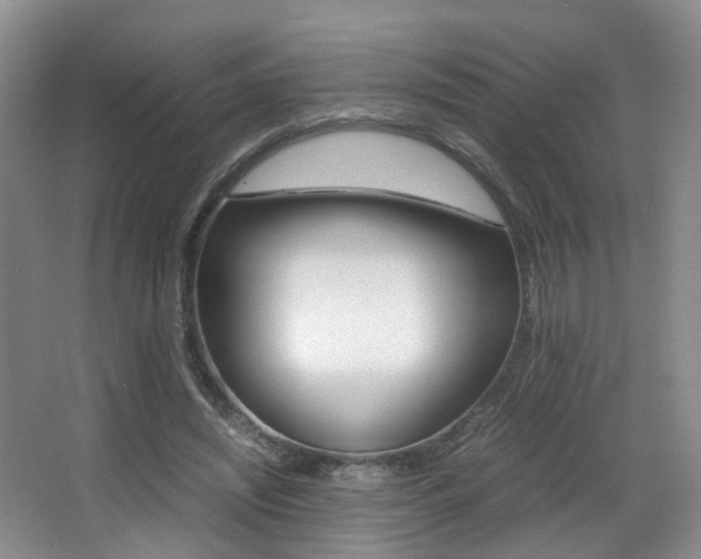 X0000066980444200603241049