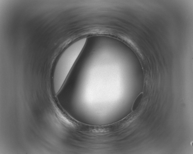 X0000066980445200603241049