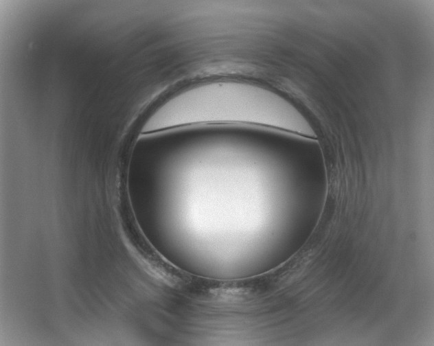 X0000066980448200603241049