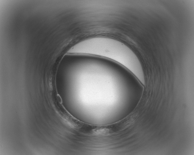 X0000066980452200603241049