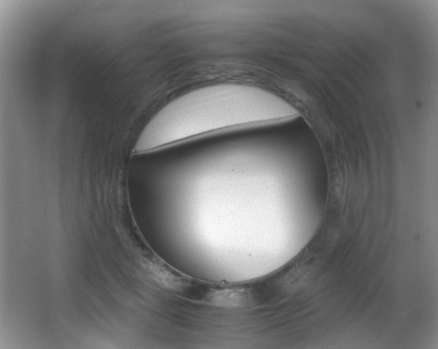 X0000066980461200603241050