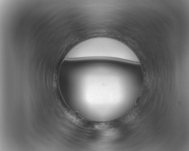X0000066980470200603241050