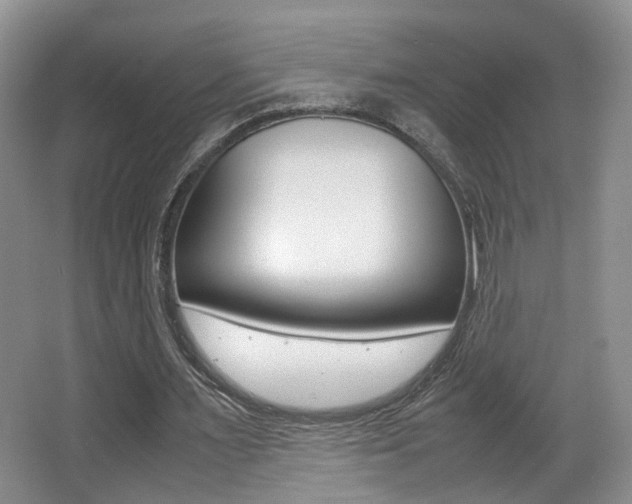 X0000066980483200603241049