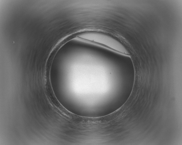 X0000066980484200603241049