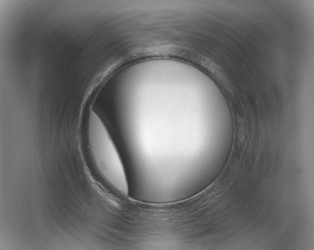 X0000066980486200603241049