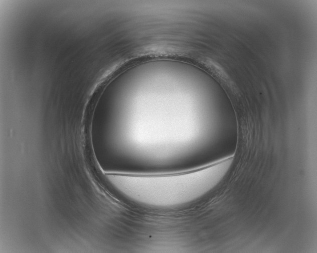X0000066980488200603241049