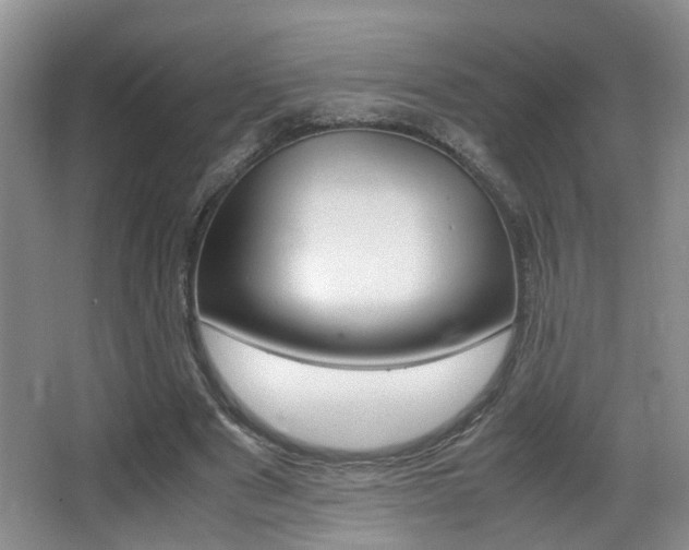 X0000066980489200603241049