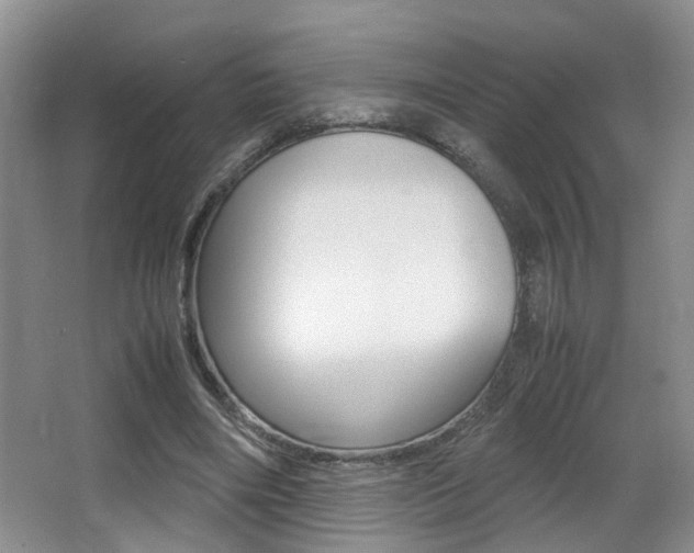 X0000066980490200603241049