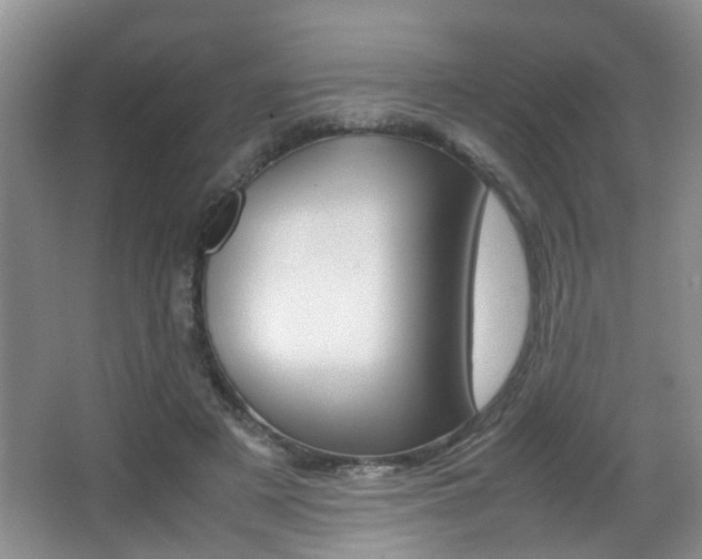 X0000066980497200603241049