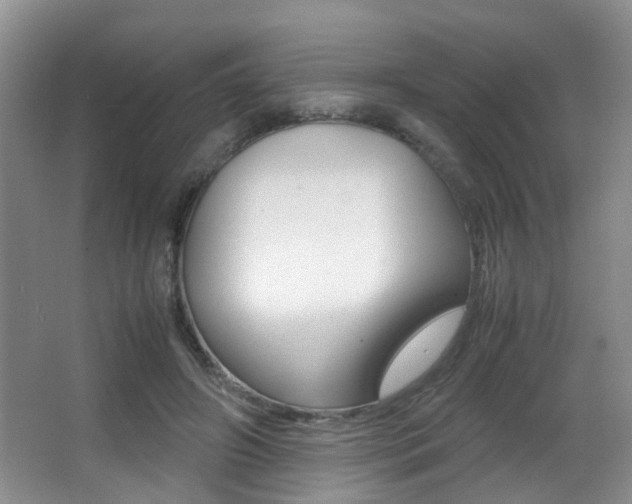 X0000066980498200603241049