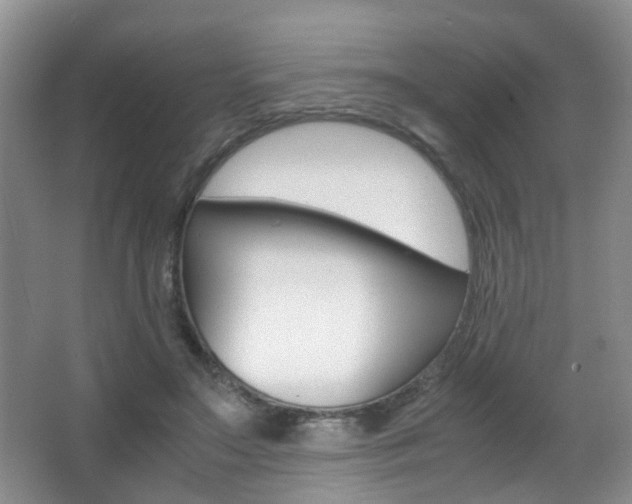 X0000066980499200603241049