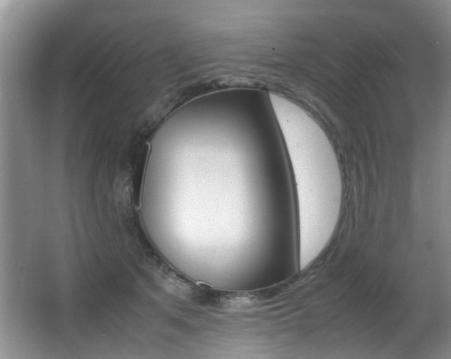 X0000066980513200603241049