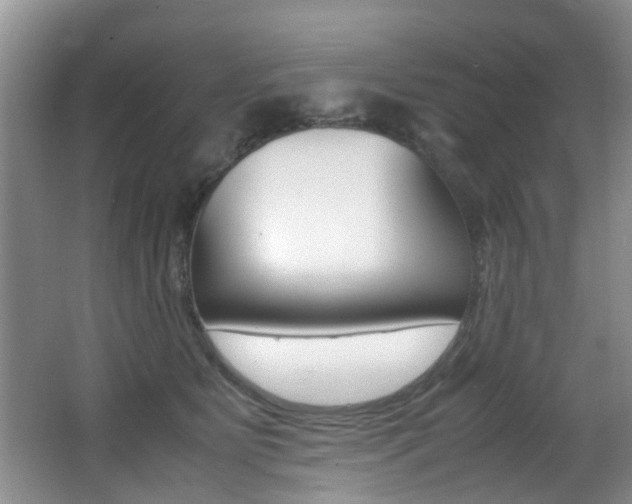 X0000066980515200603241049