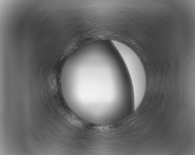 X0000066980524200603241048