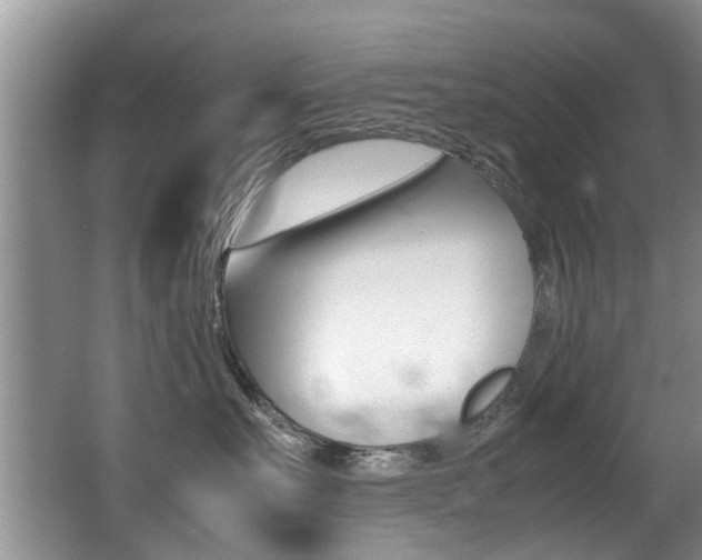 X0000066980527200603241048
