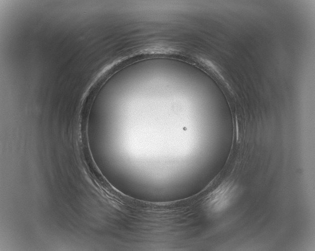 X0000066980531200603241048