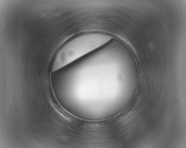 X0000066980533200603241048