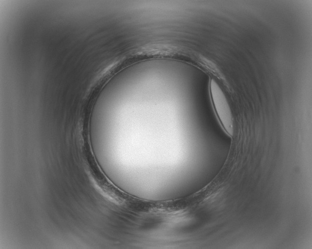 X0000066980538200603241048