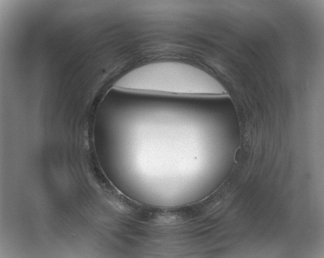 X0000066980547200603241048