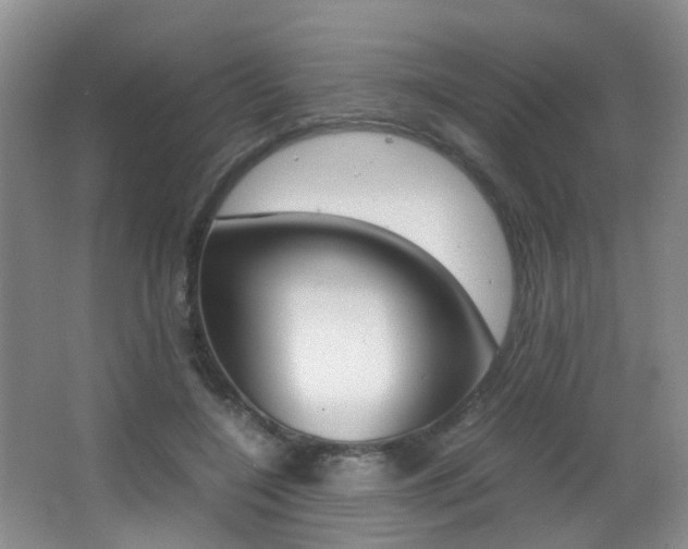 X0000066980548200603241048