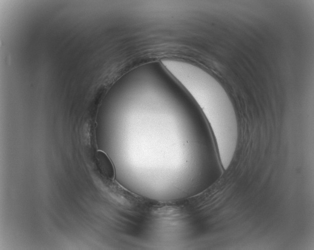 X0000066980551200603241048