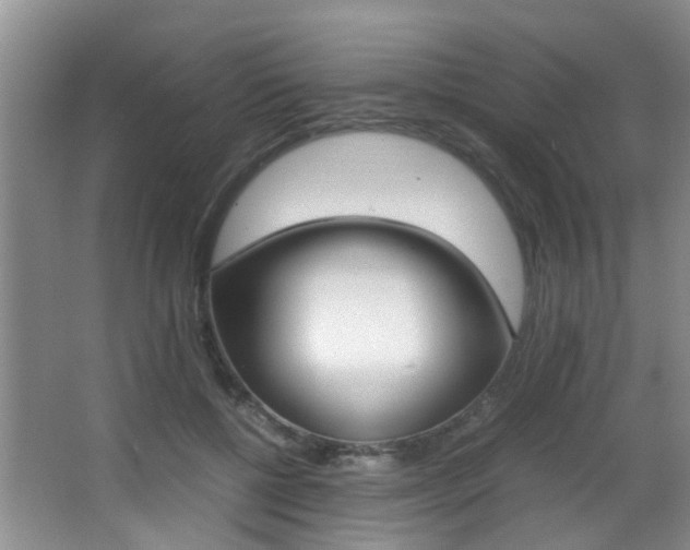 X0000066980552200603241048