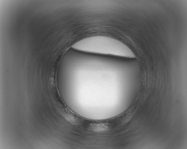 X0000066980553200603241048