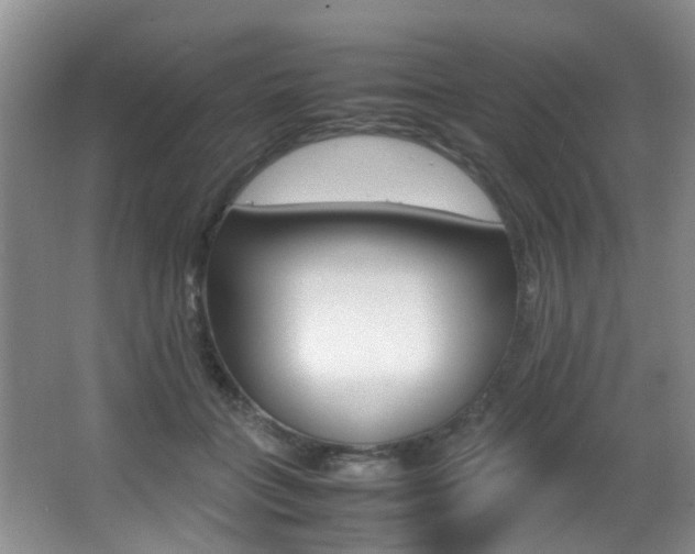 X0000066980555200603241048