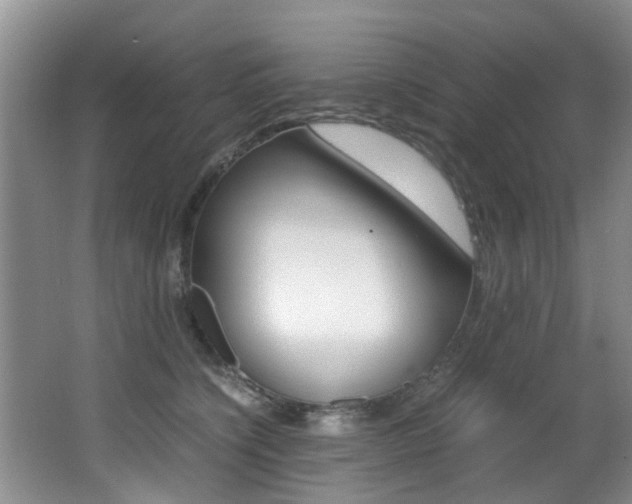 X0000066980564200603241048