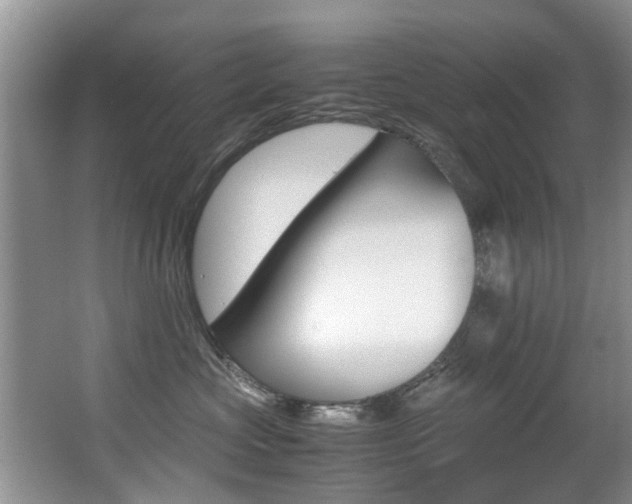 X0000066980573200603241048