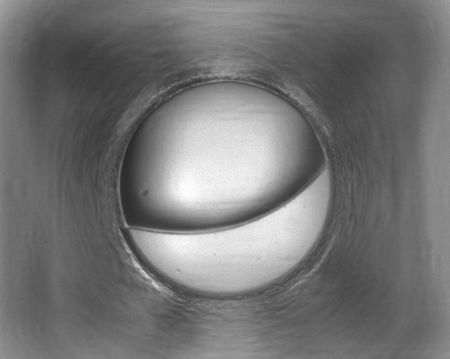 X0000066980577200603241047