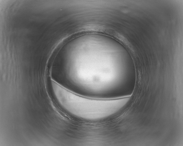 X0000066980580200603241047