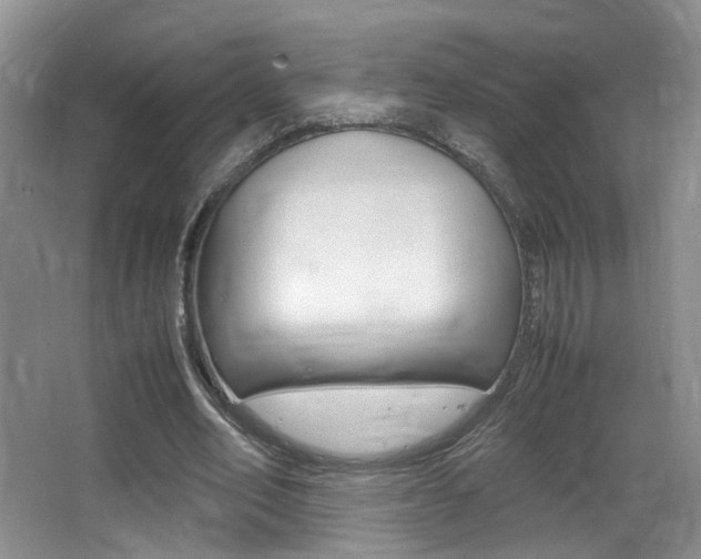 X0000066980582200603241047